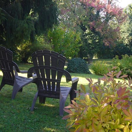 Bed and Breakfast Domaine De L'Olifant Champanges Exterior foto