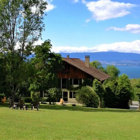 Bed and Breakfast Domaine De L'Olifant Champanges Exterior foto