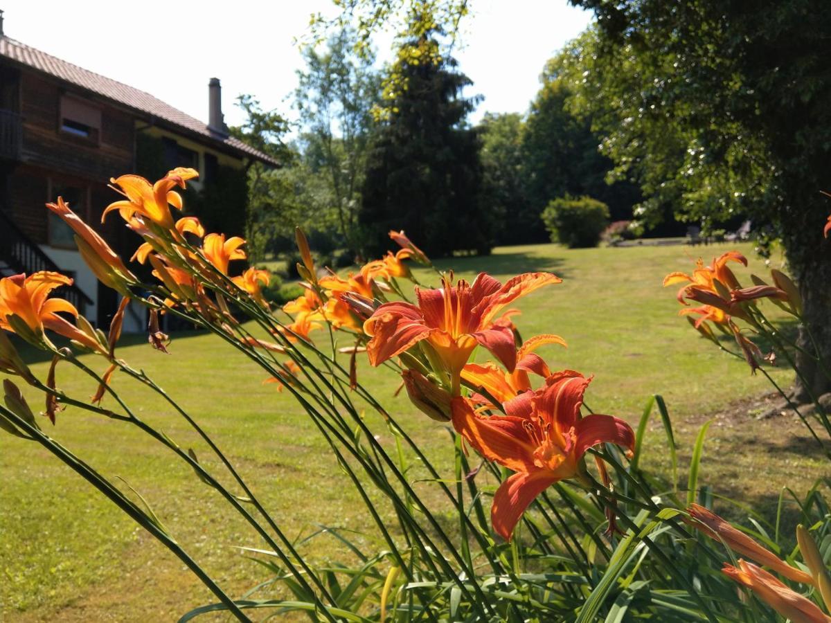 Bed and Breakfast Domaine De L'Olifant Champanges Exterior foto