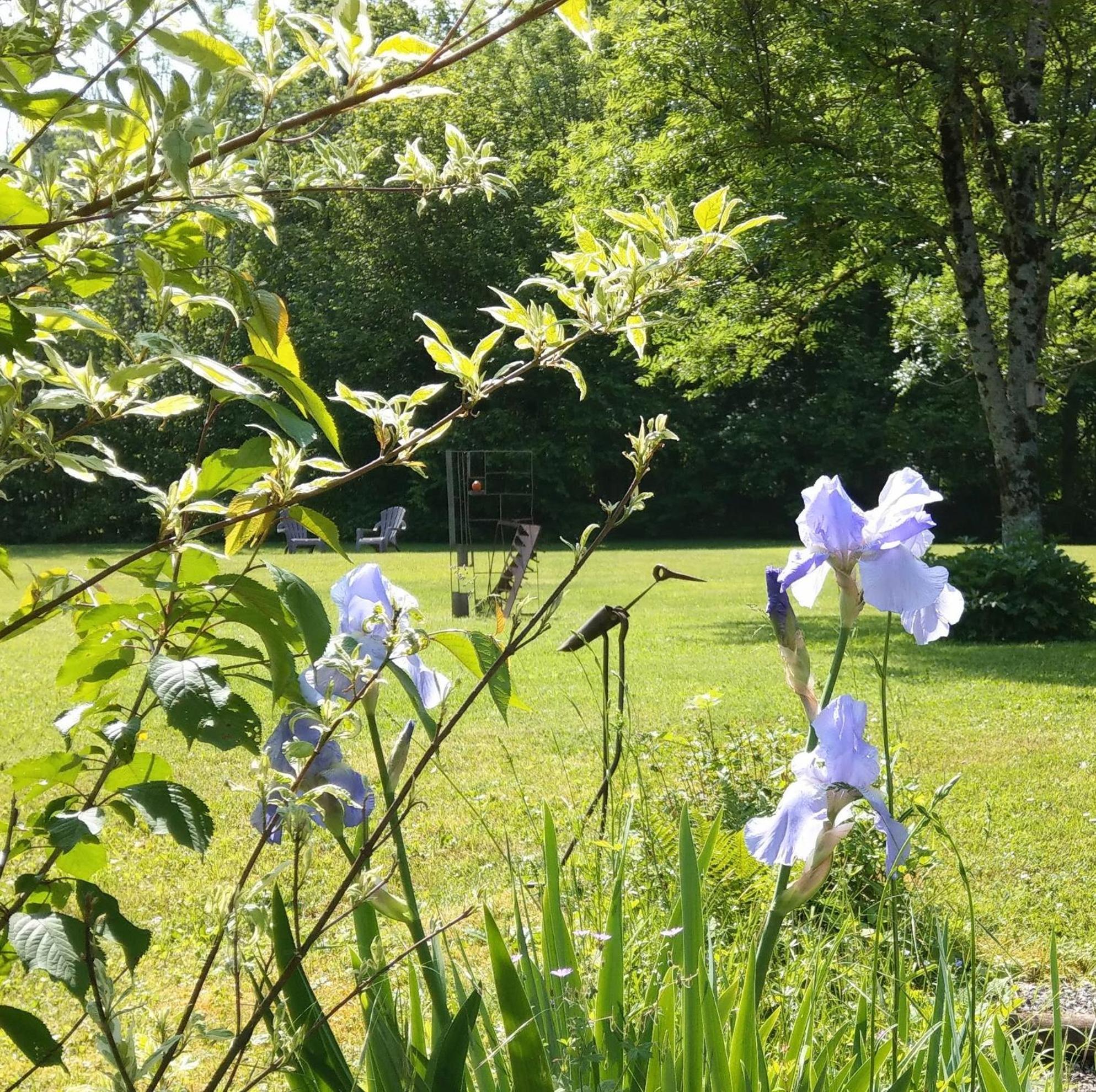 Bed and Breakfast Domaine De L'Olifant Champanges Exterior foto