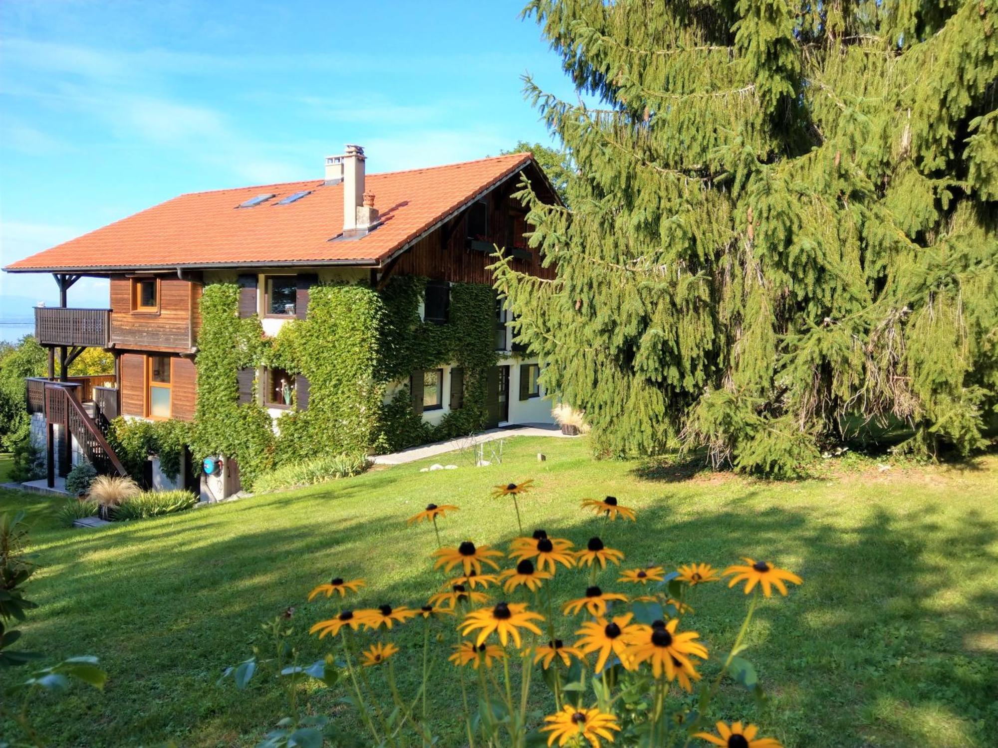 Bed and Breakfast Domaine De L'Olifant Champanges Exterior foto
