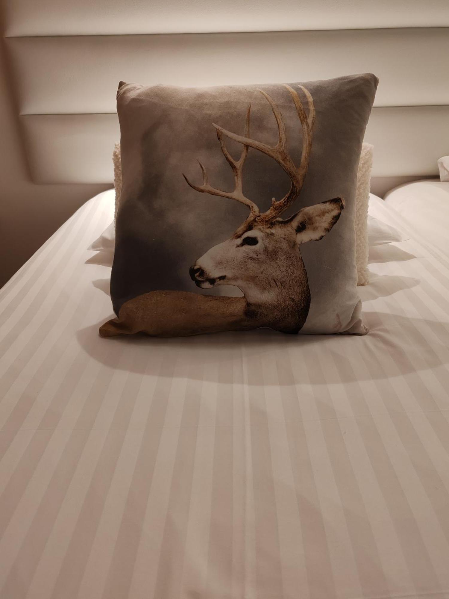 Bed and Breakfast Domaine De L'Olifant Champanges Zimmer foto