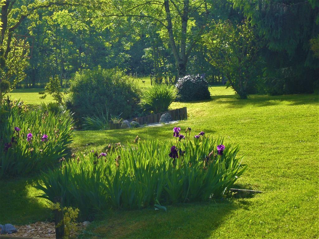 Bed and Breakfast Domaine De L'Olifant Champanges Exterior foto