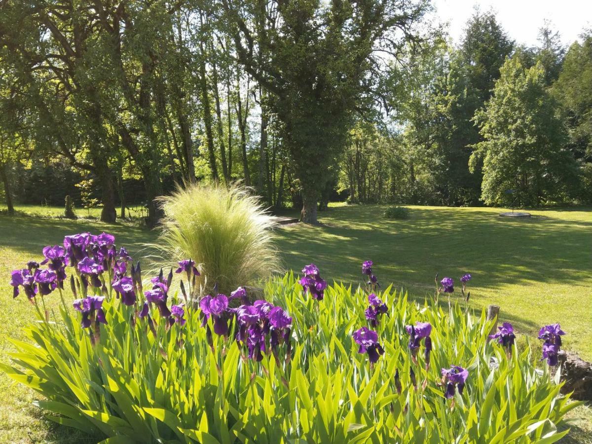 Bed and Breakfast Domaine De L'Olifant Champanges Exterior foto